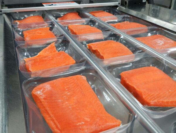 Arctic Char fillets in trays