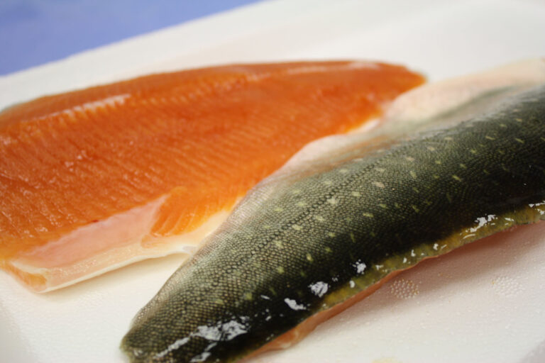 Dressed and Fillet Arctic Char